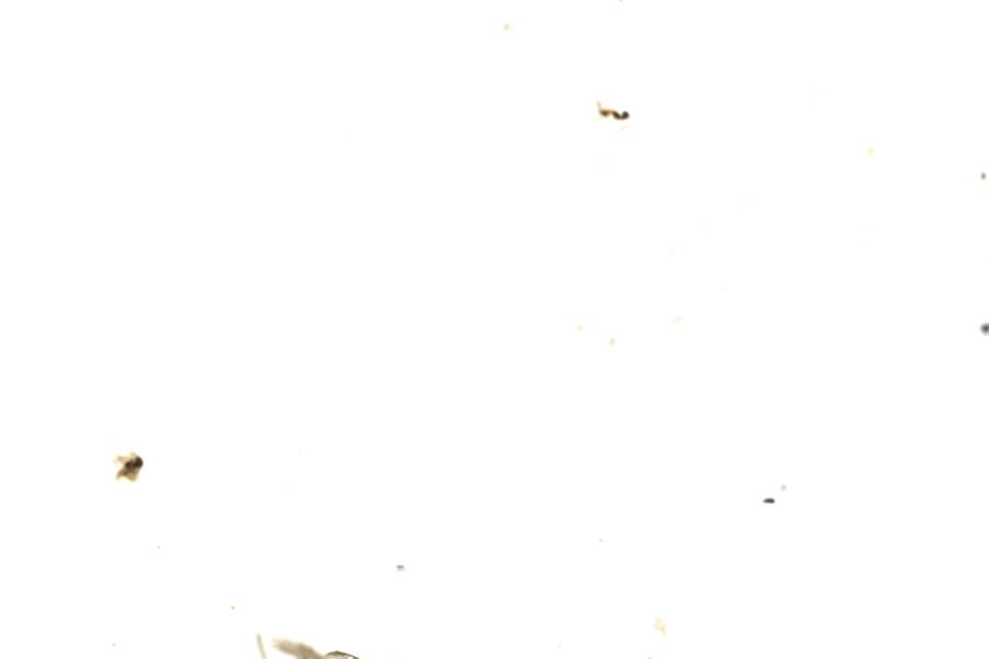Image 74